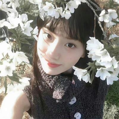 灰烬重生